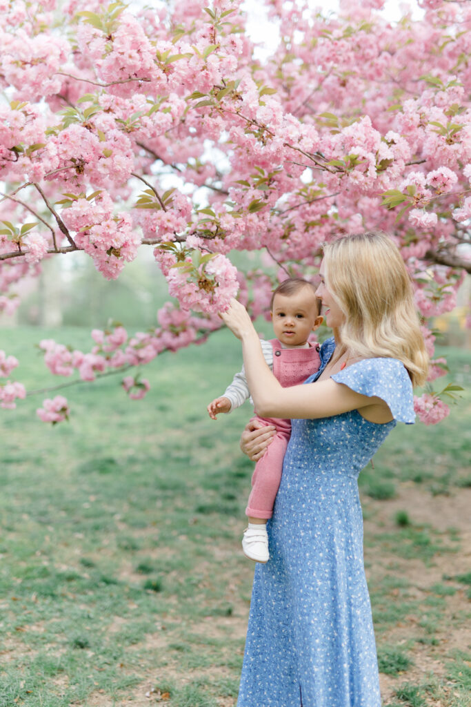 A mom holds her baby in the cherry blossoms at a spring family mini session in Central Park shot by Jacqueline Clair Photography