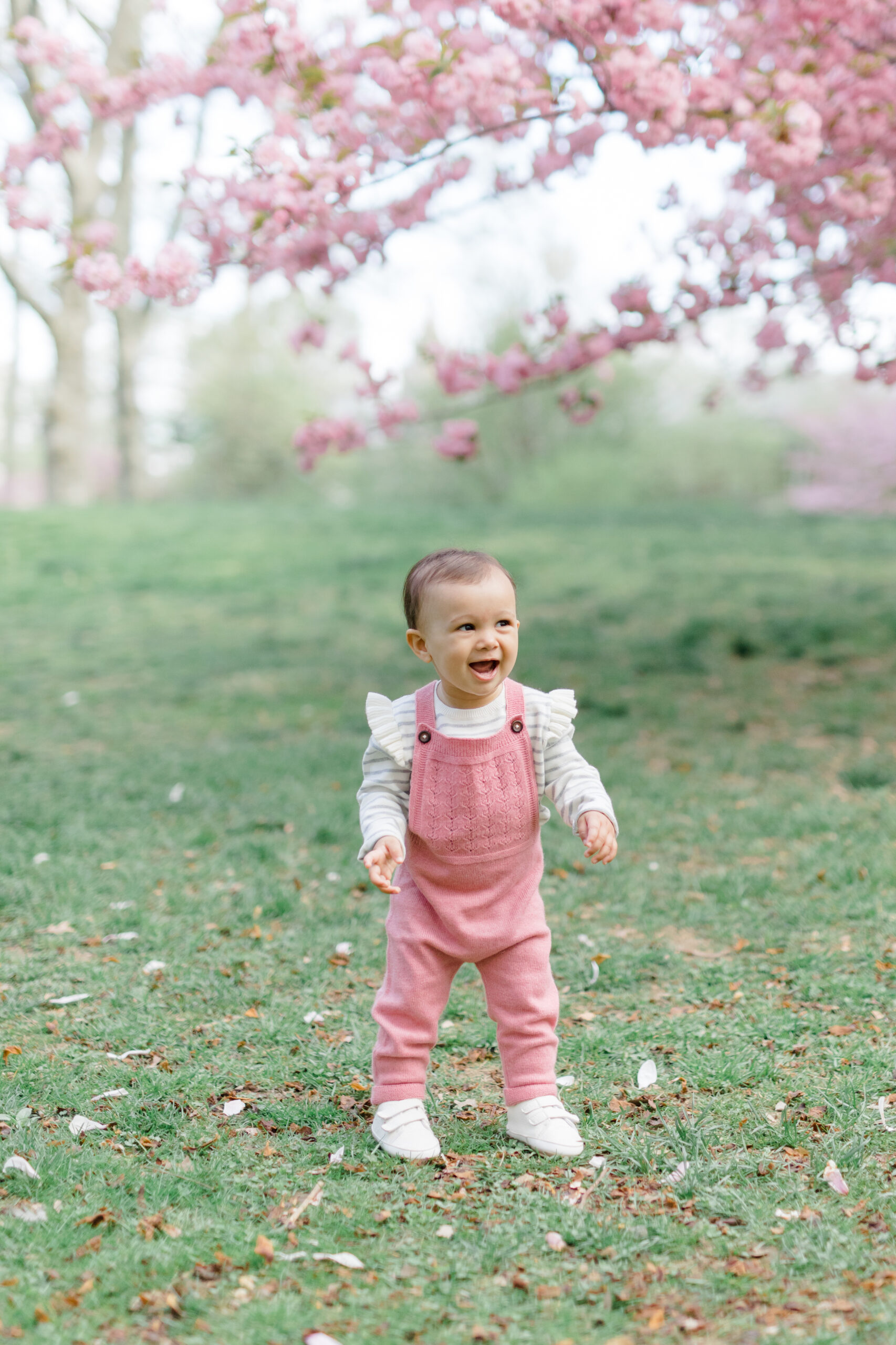 A little girl walks in front of the cherry blossoms in Central Park at a spring mini session shot by Jacqueline Clair Photography