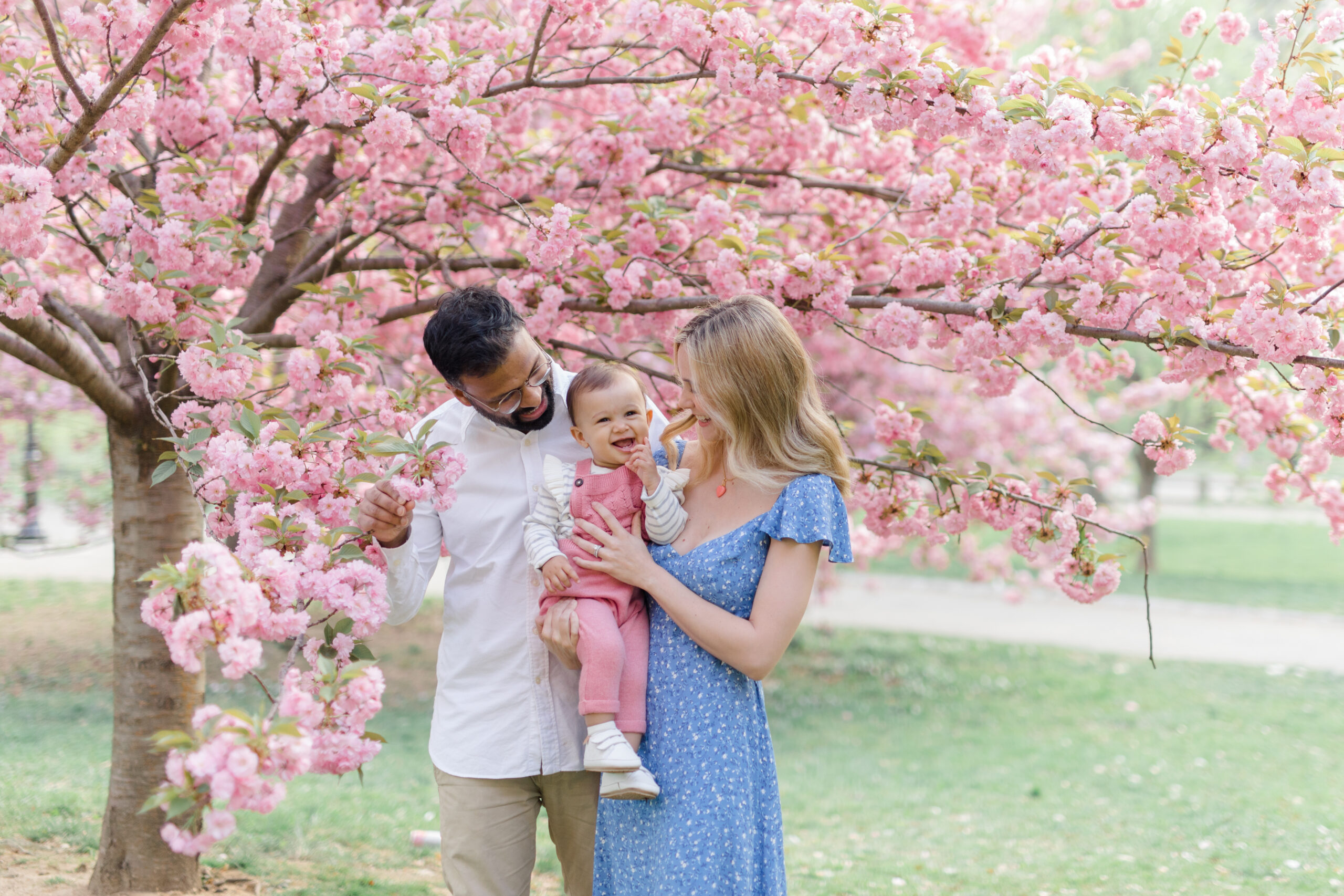 A family at a spring mini session in Central Park with the cherry blossoms, shot by Jacqueline Clair Photography