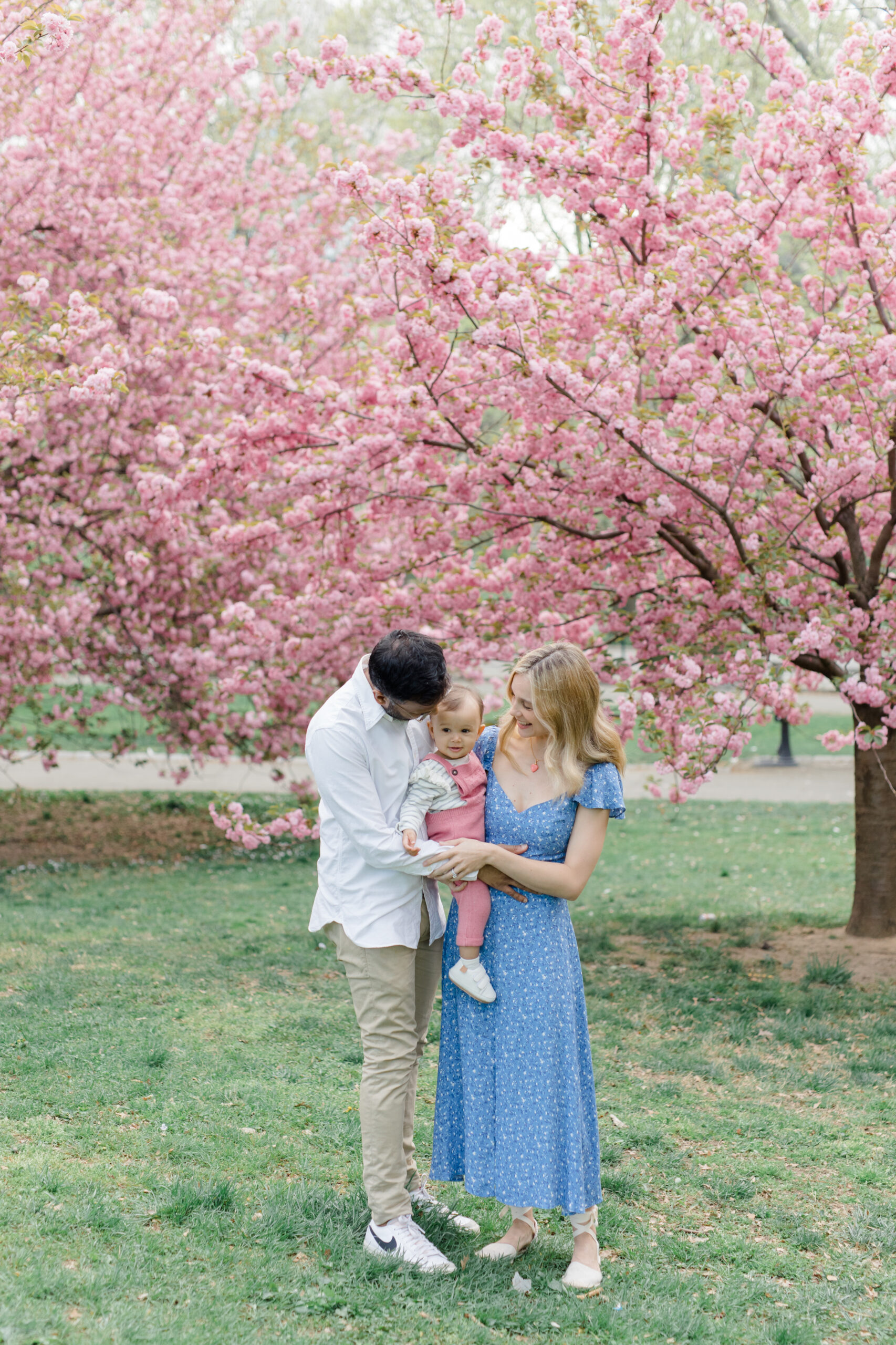 A mom and dad hold their baby in the cherry blossoms at a spring family mini session in Central Park shot by Jacqueline Clair Photography
