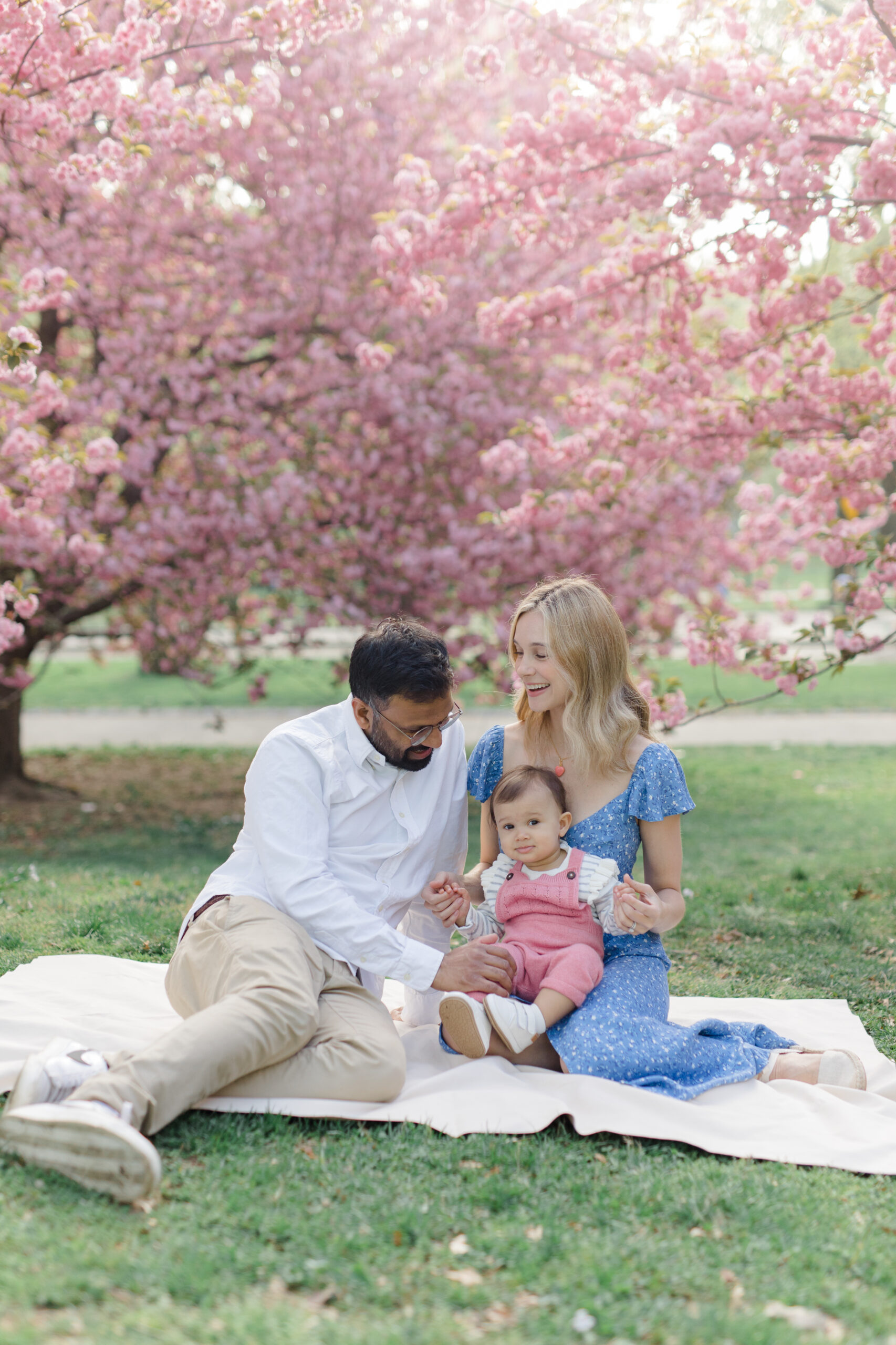 A spring mini session in Central Park with the cherry blossoms, shot by Jacqueline Clair Photography