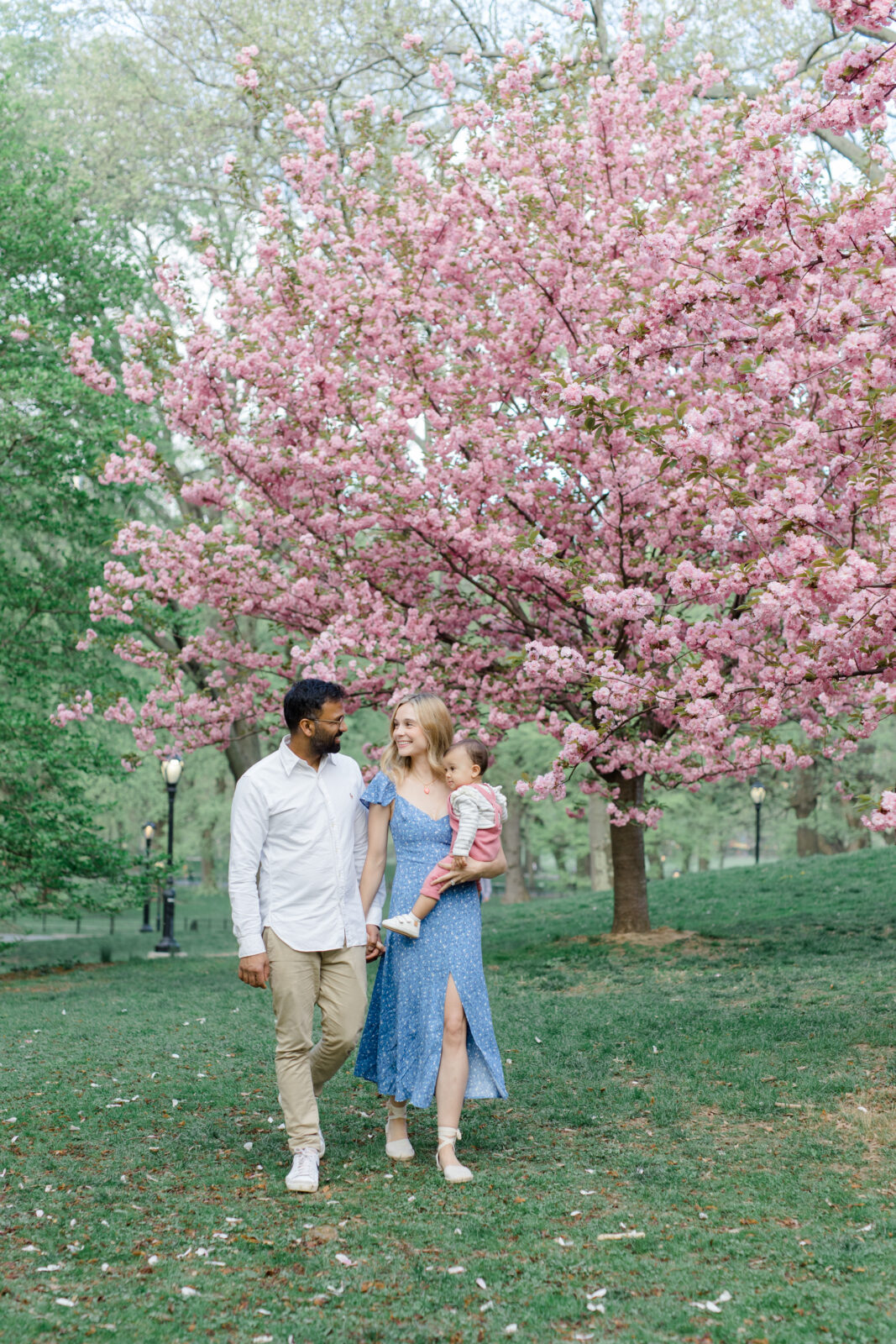 A family walks in front of the cherry blossoms at a spring family mini session in Central Park shot by Jacqueline Clair Photography