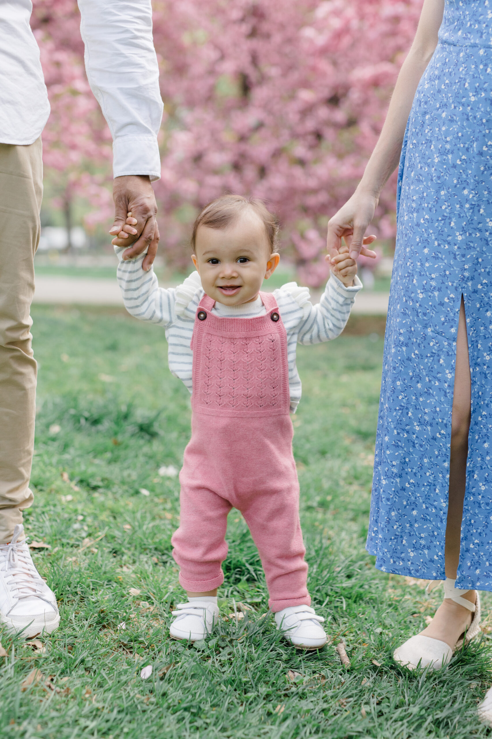 A baby stands between her parents in front of the cherry blossoms at a spring family mini session in Central Park shot by Jacqueline Clair Photography
